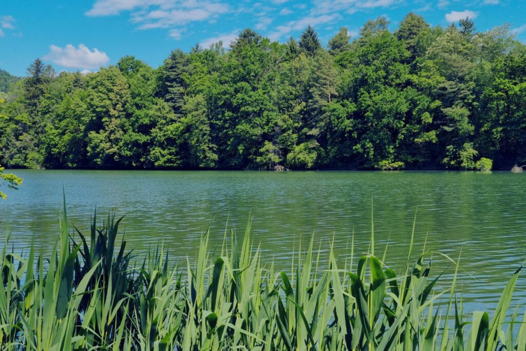 Dobrodošli na novi spletni strani Ribiške družine Maribor