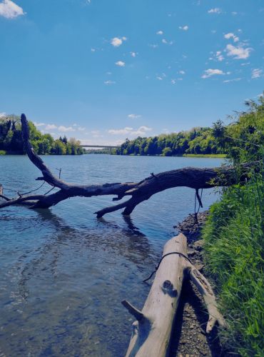 RD Maribor - Naše vode - Drava