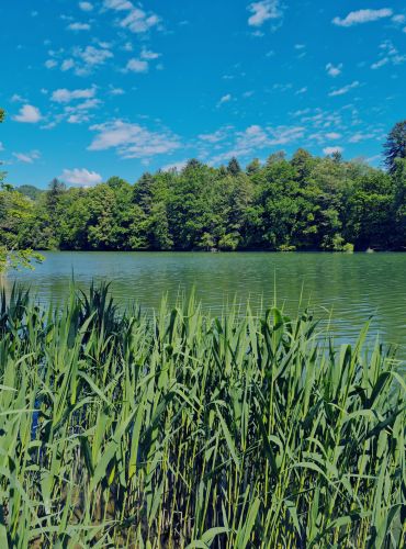 RD Maribor - Naše vode - Rezervati (Drava)